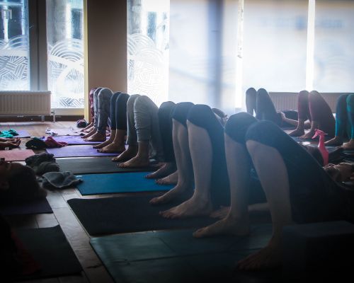 Ashtanga Yoga Immersion