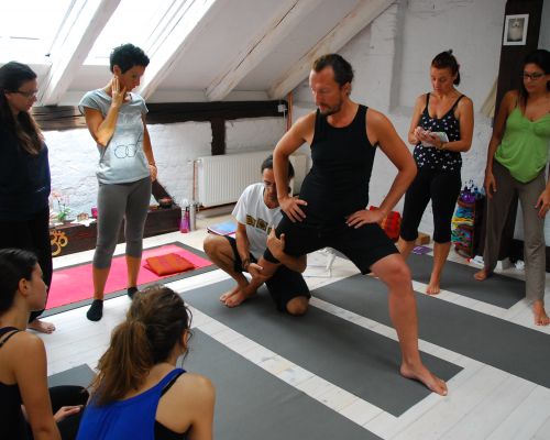 Yoga Anatomy & Therapy Intensive