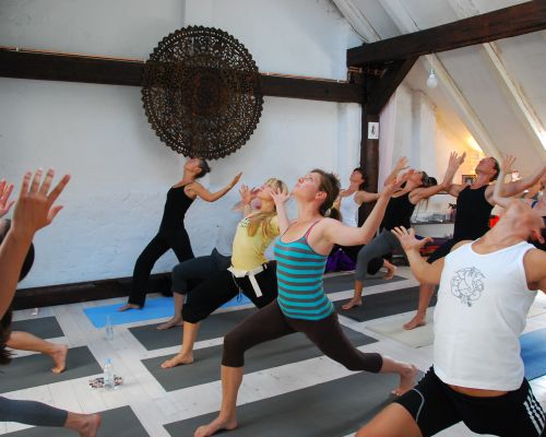 Yoga Anatomy & Therapy Intensive