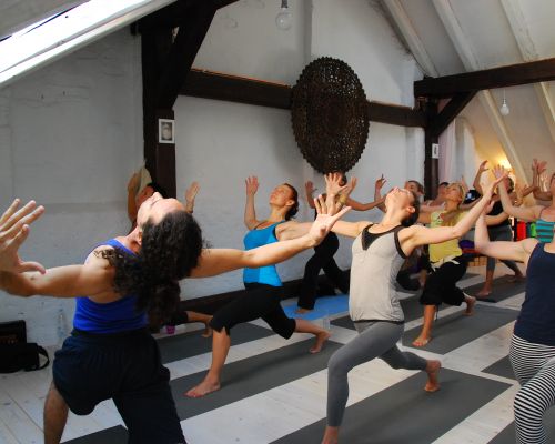 Yoga Anatomy & Therapy Intensive