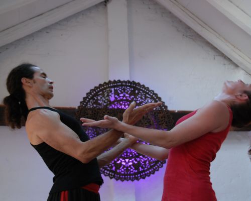 Yoga Anatomy & Therapy Intensive