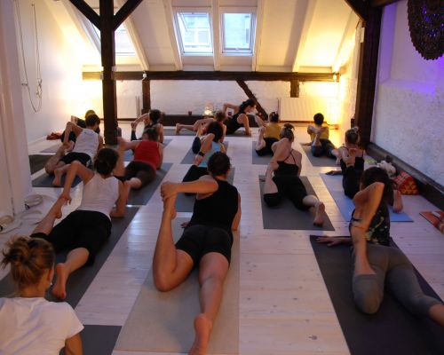 Yoga Anatomy & Therapy Intensive