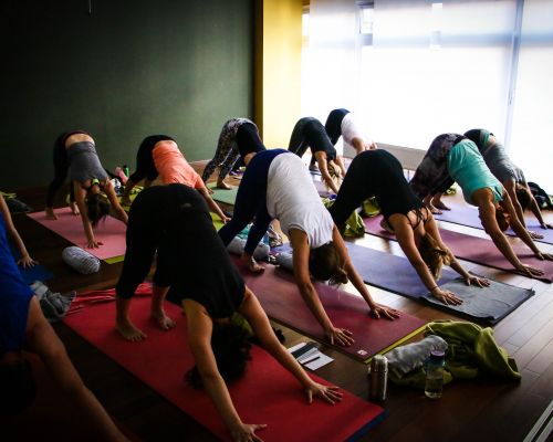 Integrate Your Practice