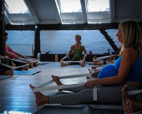 Advanced Vinyasa & Prenatal TTC
