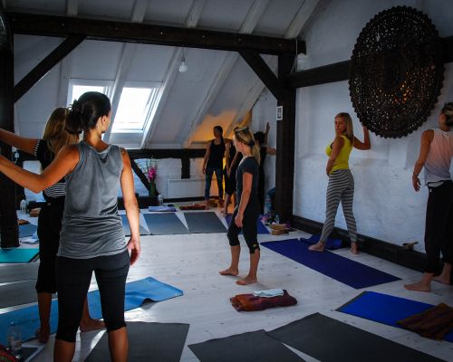 Advanced Vinyasa & Prenatal TTC