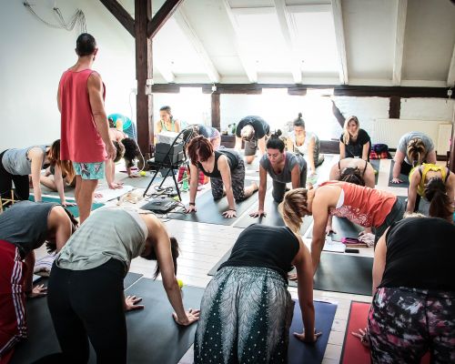 Advanced Anatomy For Yogis