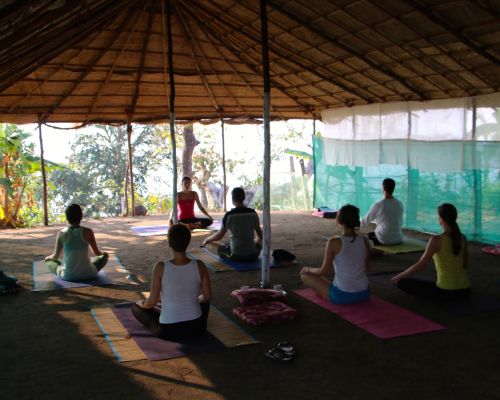 Happy Yoga Tribe (Goa, India)