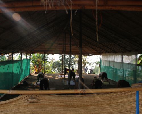 Happy Yoga Tribe (Goa, India)