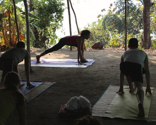 Happy Yoga Tribe (Goa, India)