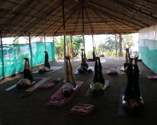 Happy Yoga Tribe (Goa, India)