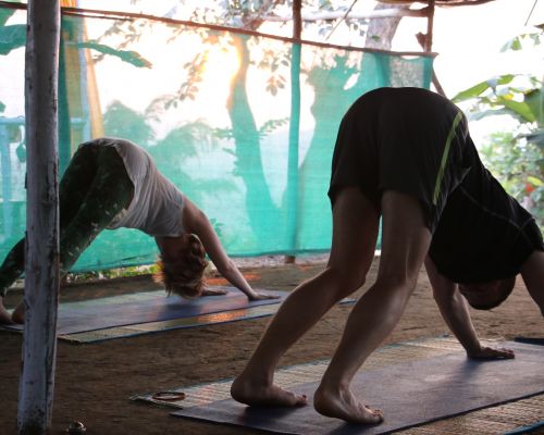 Happy Yoga Tribe (Goa, India)
