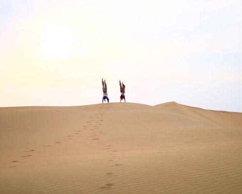 Happy Yoga Tribe (Goa, India)