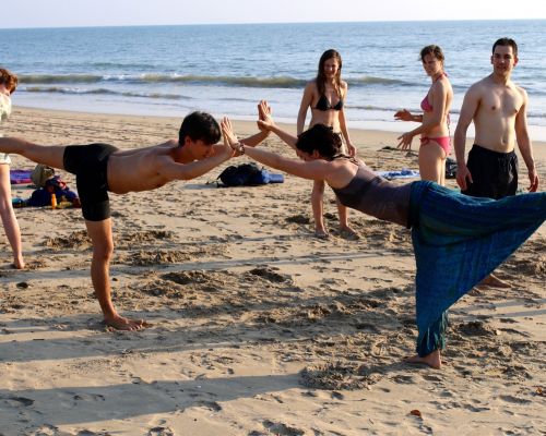 Happy Yoga Tribe (Goa, India)