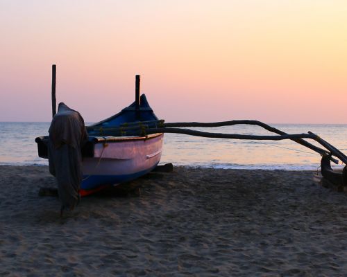 Happy Yoga Tribe (Goa, India)