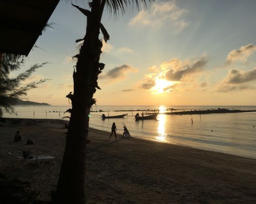 Shine Your Light (Koh Samui, Thailand)