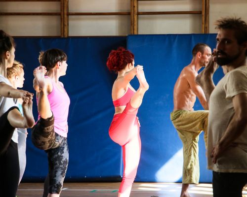 The Essence of Ashtanga