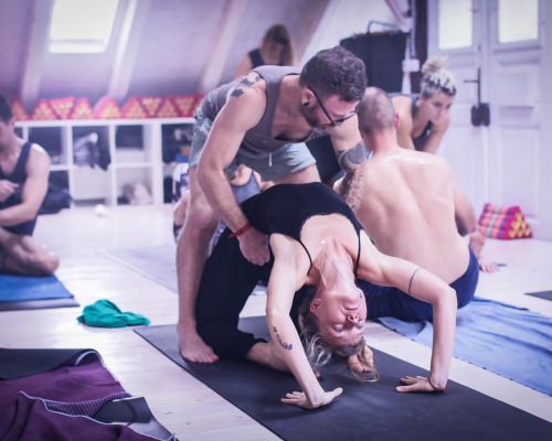 2 weeks Mysore Intensive