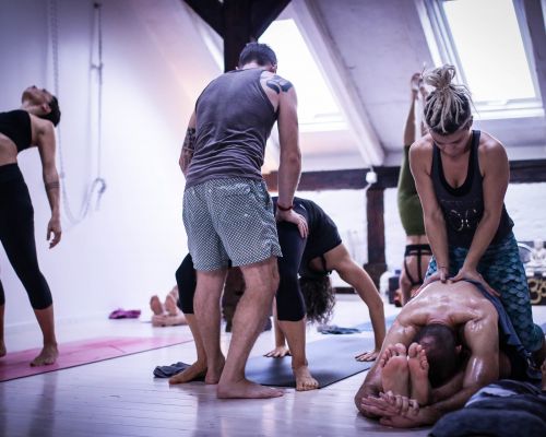 2 weeks Mysore Intensive