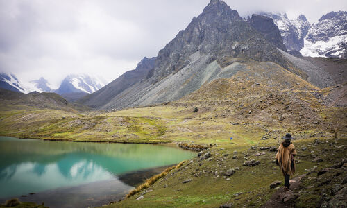 Jungle Medicine @ Shanti House